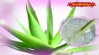 Health Benefits of Aloe Vera | Veda Vaidhyam | Hindu Dharmam