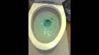 Unflushable fish