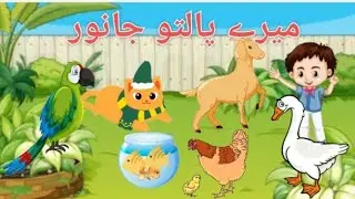 Domestic Animals/My Pets/Pet Animals Names in Urdu / For Toddlers/پالتو جانوروں کے نام