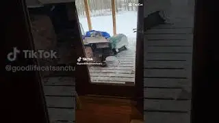 WInter Is coming