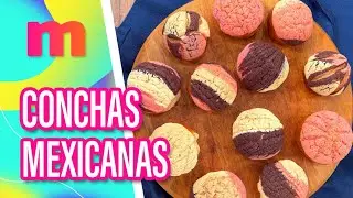 Conchas Mexicanas: Receita Tradicional do Pan Dulce Caseiro - Mulheres (28/01/2026)