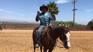 Dos RIENDAS