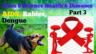 Class 8 Science| Health & Diseases| Part 3|Dengue | Swine flu | AIDS | Rabies| Easy Explanation 