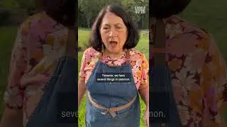 Abbe And Ina Garten Have A Lot In Common