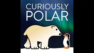 124 The Polar Vortex Anomaly
