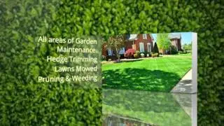 Gold Leaf Garden Services
