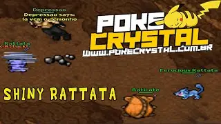 Novo Poketibia - PokeCrystal (Respawn Shiny Rattata)