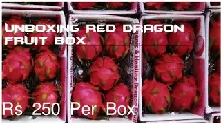 unboxing red Dragon Fruit box