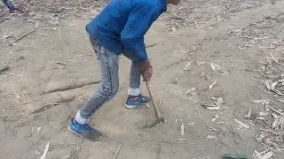 Gulli danda vlogs #vlogvideo #viralvideo #vlogs #viral #video #2026vlog 