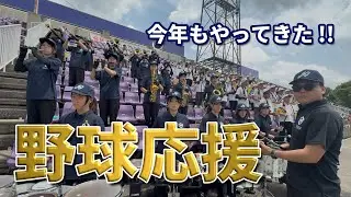 【今年も始動】野球応援の様子を一部公開します☀️