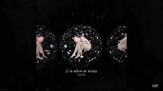 Kyoto - NI AMOR NI ROSAS | Saudade (Audio)