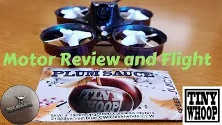 Plum Sauce Tiny Whoop Motor Review and Flight