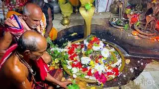 108 Nadia Bada Hela Baba Baidyanath Talakani #odisha #village #culture #jalasai #shots #video #odia 