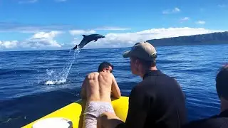 Hawaii Dolphin Excursion (FULL EXPERIENCE) | Oahu/Waianae