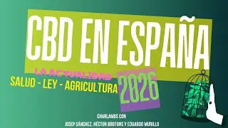 La realidad actual del CBD en España: salud, ley y cultivo
