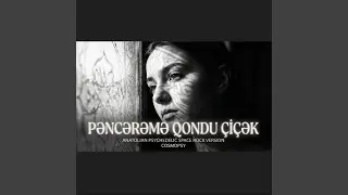 Pəncərəmə qondu çiçək (Anatolian Psychedelic Space Rock Version)