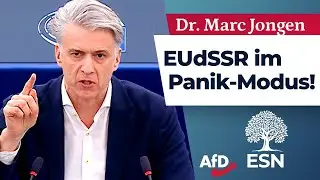 EUdSSR im Panik-Modus! &ndash; Dr. Marc Jongen (AfD)