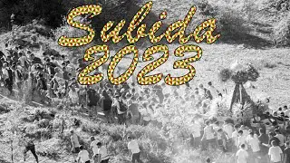 ❤️💛💚🤍 VIRGEN DE LA SIERRA | Subida 2023 | Patrona de Cabra