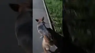 Выкрутились из сложной ситуации.