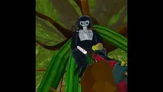 A wild monkey adventure