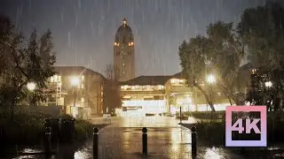 Late Afternoon Rain on University Campus | Winter Walk in Stanford (4K)