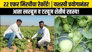 22 एकर मिरचीचा रेकॉर्ड! | यशस्वी प्रयोानंतर आता खरबूज व टरबूज शेतीच रहस्य!