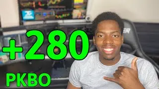 Day Trade Recap Stocks PKBO & SNTG