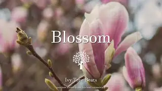 ( FREE ) Blossom - Venbee -  Nia Archives - Jungle - Drum and BassType Beat 2023