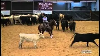 Cats Lookin Smart Bonanza Finals