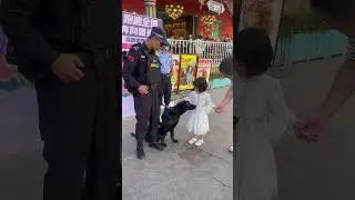 Police dog paws for more attention