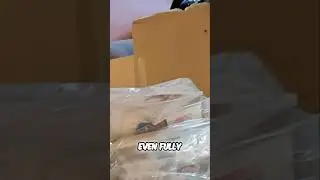 Landlord Left EVERYTHING! Rental Nightmare Exposed!