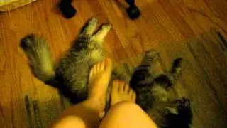 Snuggles plus my feet