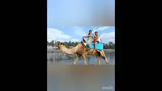 full masti with family👪 #familytime #mumbaitrip #a2ztrip cammle raide on beach.