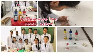 Determined my blood group🩸|NMCTH|Biratnagar|MBBS