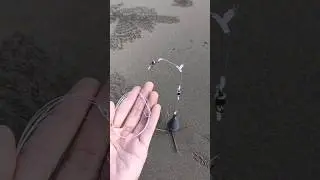 Trik mancing pasiran