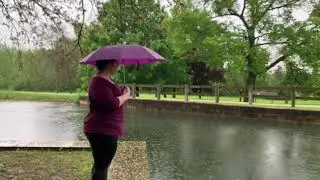 The Canal Murder