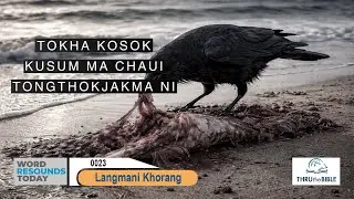 #TTB Genesis 8 : 1 - 14 (0023) Kokborok Bible Study