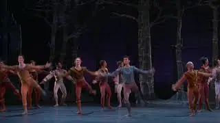 2018 Houston Ballet Swan Lake - Act 1, Prince Siegfried and His Friends