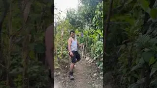 Bangladesh hasina and Nepali politics Funny parodi song 😛#shorts #comedy #short #viralvideo