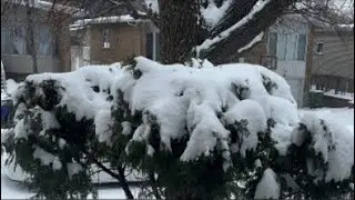 BD Lifestyle Canada is live! Snowing 🌨️ Canada how beautiful 🤩 #live #livestream