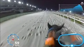 2025/01/31　サクラトップセラー×アカリリッキー　併せ追い切り