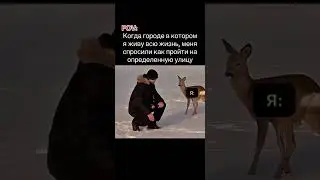 Забыл😂 #мем #мемы #meme #memes #пов #рек #рекомендации #tiktokmemes #tiktok #viral #жиза #shorts