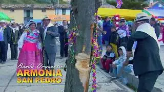 ARMONIA SAN PEDRO: Armonia en tu Corazon- Muliza Carnaval