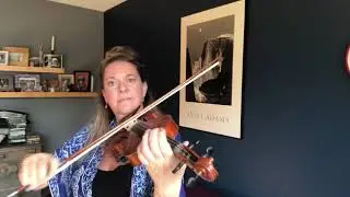 Kim de Laforest - The Lads of Laois Reel