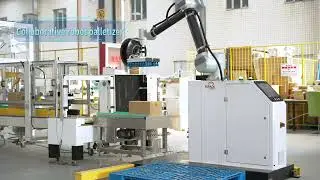 Auto Delta Robot Case Packer and Cobot Palletizer for Small Bags Packing Line