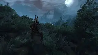 Aen Seidhe (1 Hour) - Witcher 3