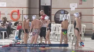 El Waterpolo sigue creciendo de la mano del Club Nataci&oacute;n Ciudad Real