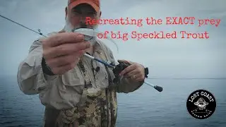 LCB 5&rdquo; Jerk Shad Introduction