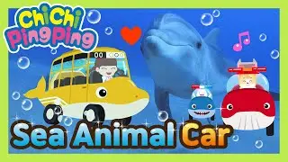 🎵 Sea animal car | nursery rhymes | kids song | Chichi Pingping | Adventure Cartoons for Kids
