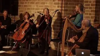 North Atlantic Bridge - Branohm  Live@Citadel/Spandau 2017